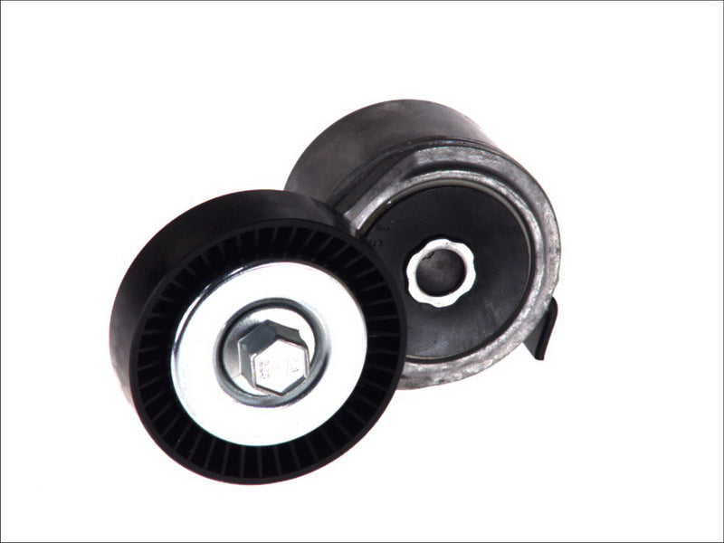 DAYCO DAYAPV2490 V-Ribbed Belt Tensioner Lever
