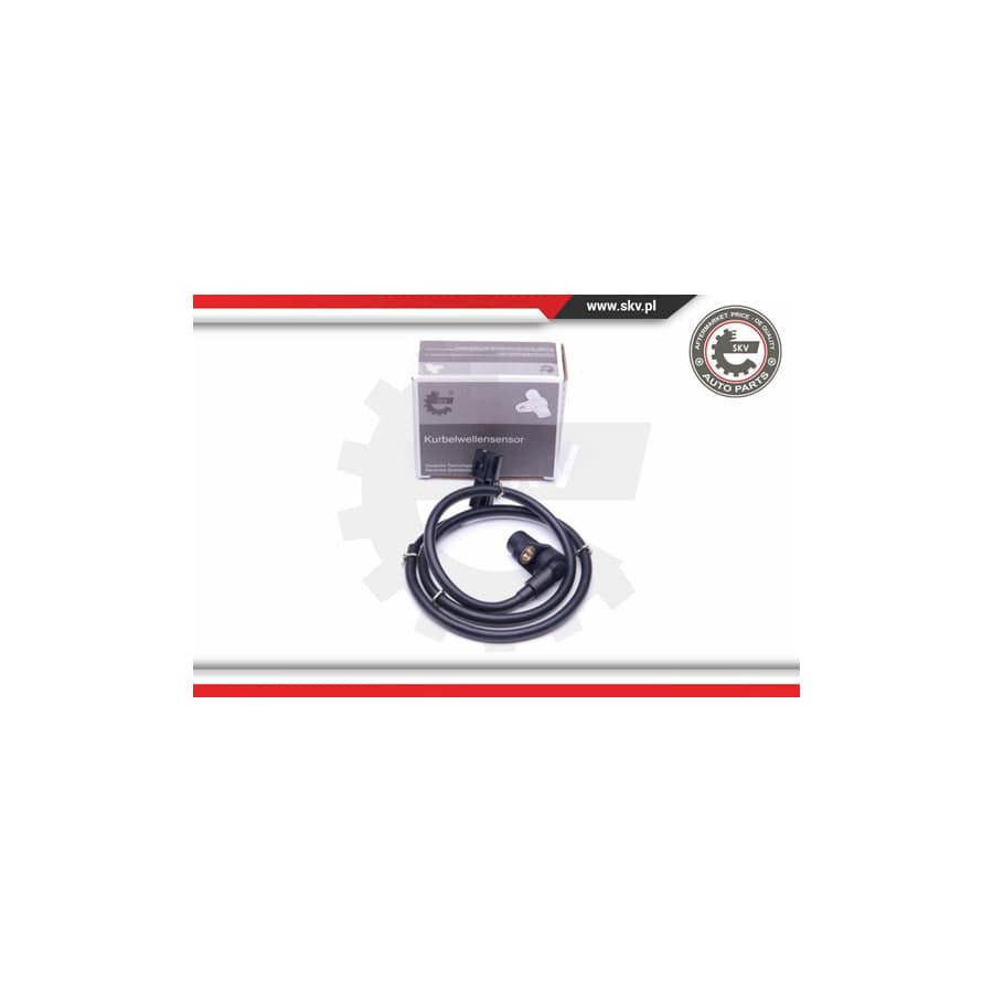 ESEN SKV 06SKV217 ABS Sensor