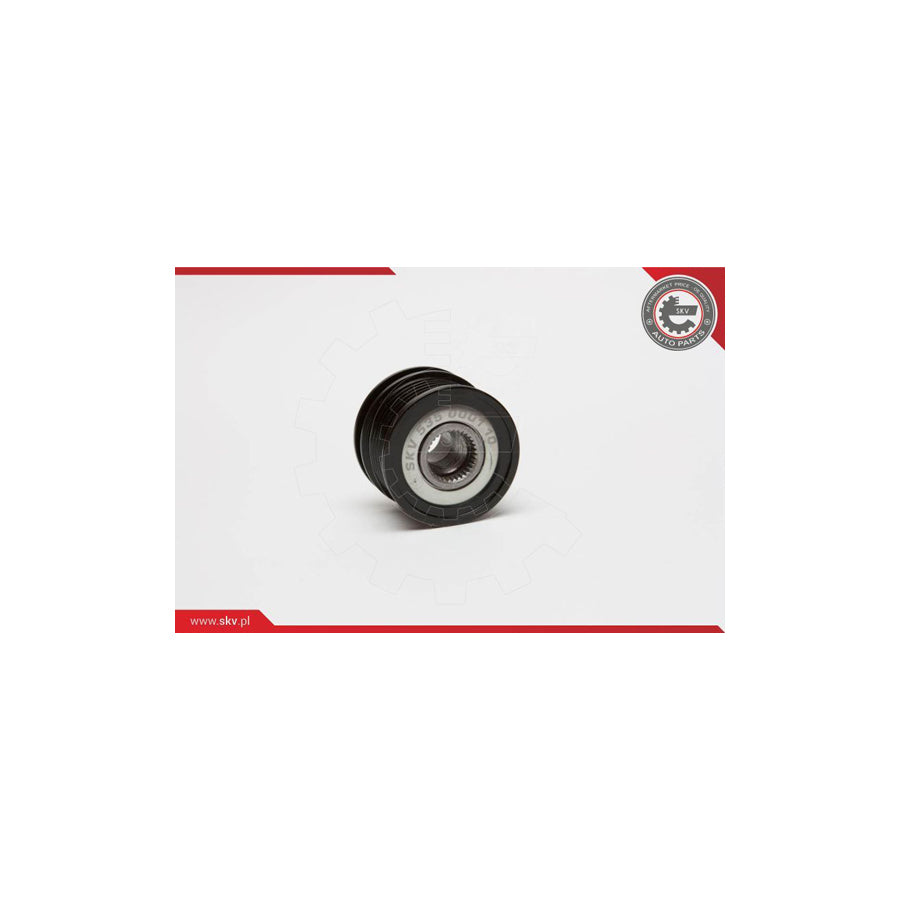 Esen Skv 11SKV001 Alternator Freewheel Clutch