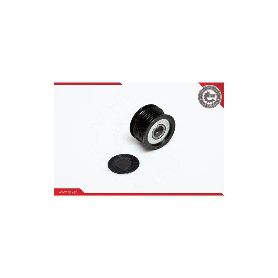 Esen Skv 11SKV010 Alternator Freewheel Clutch