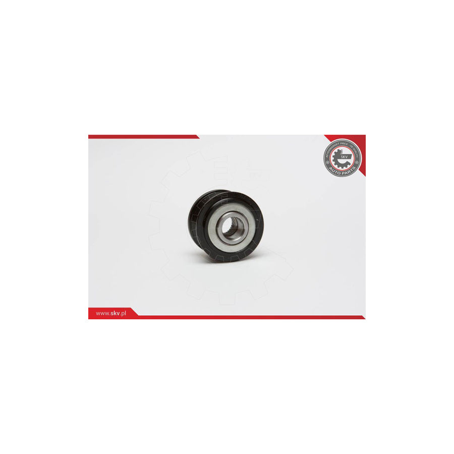 Esen Skv 11SKV012 Alternator Freewheel Clutch