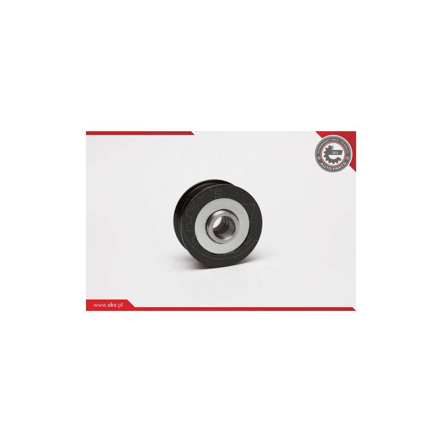 Esen Skv 11SKV013 Alternator Freewheel Clutch