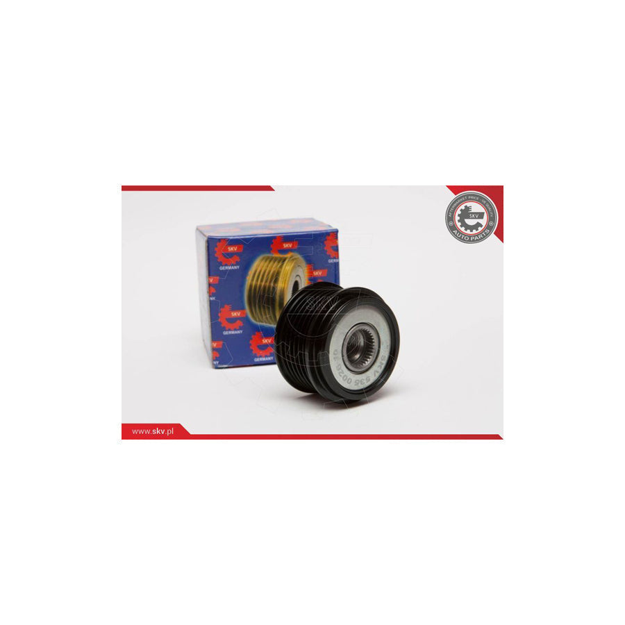 Esen Skv 11SKV017 Alternator Freewheel Clutch