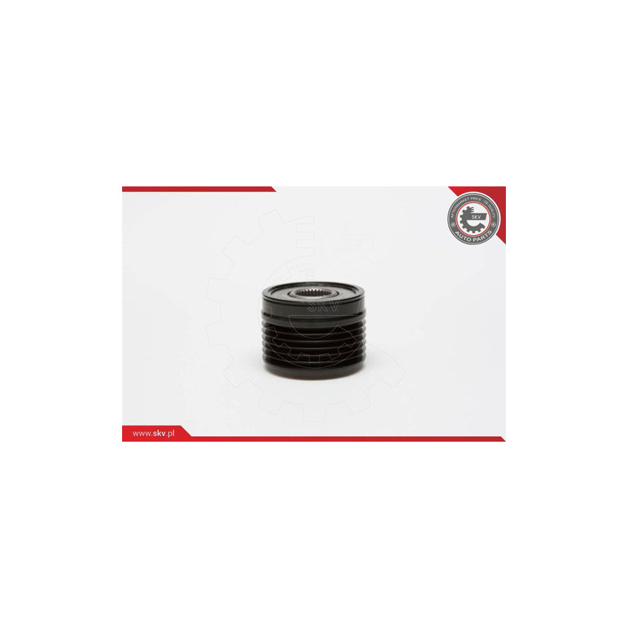 Esen Skv 11SKV020 Alternator Freewheel Clutch