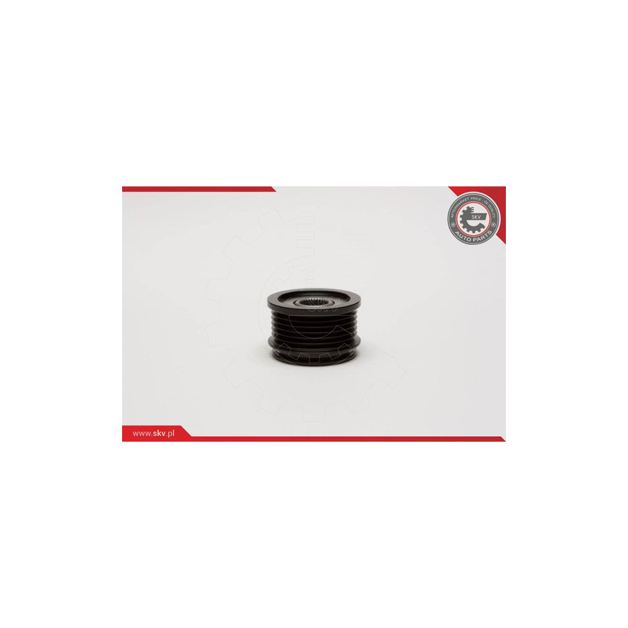 Esen Skv 11SKV021 Alternator Freewheel Clutch