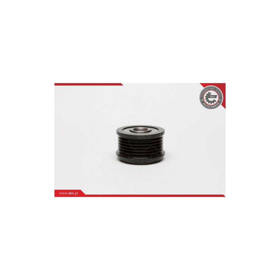 Esen Skv 11SKV029 Alternator Freewheel Clutch