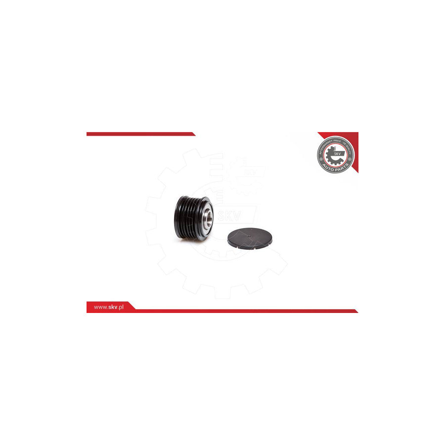 Esen Skv 11SKV039 Alternator Freewheel Clutch