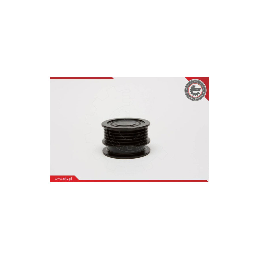Esen Skv 11SKV047 Alternator Freewheel Clutch