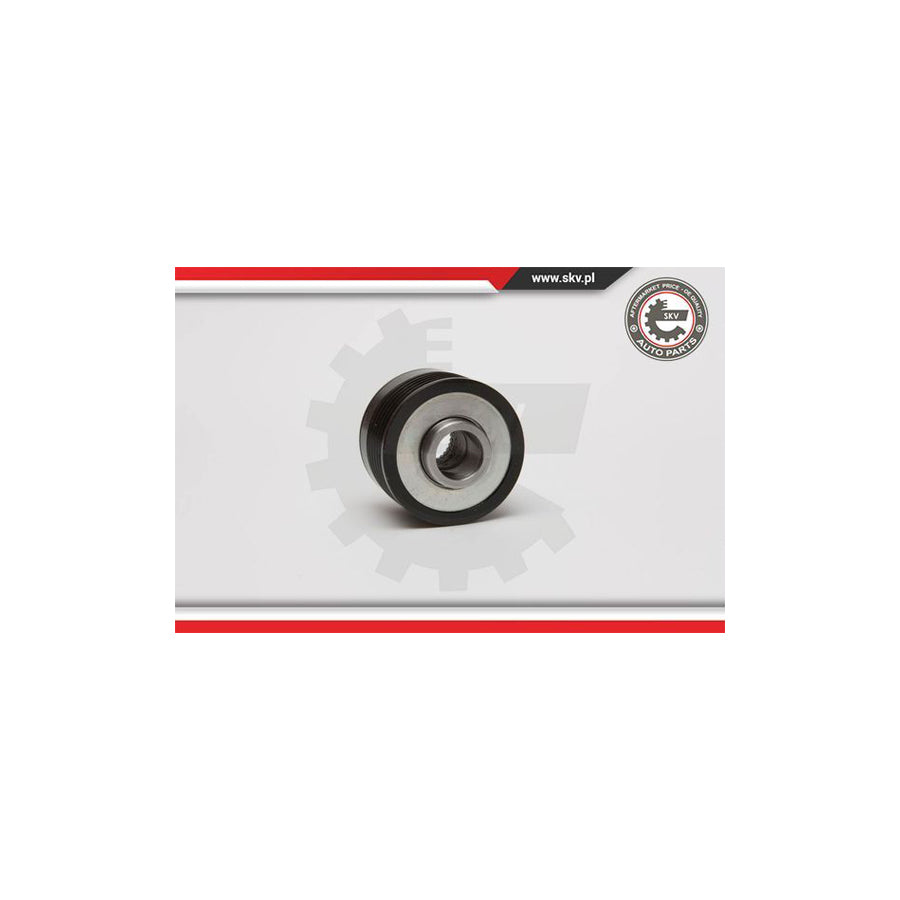 Esen Skv 11SKV062 Alternator Freewheel Clutch