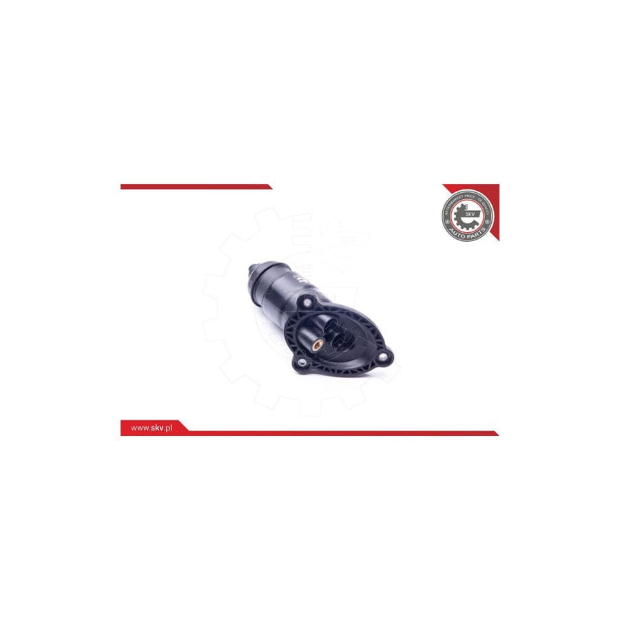 Esen Skv 31SKV056 Hydraulic Filter, Automatic Transmission