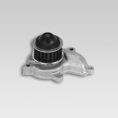 HEPU P752 Water Pump