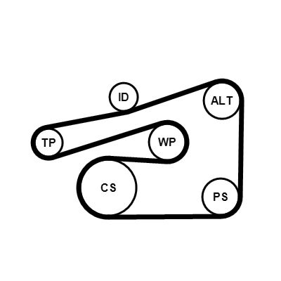 CONTITECH 6PK1733K4 V-Ribbed Belt Set