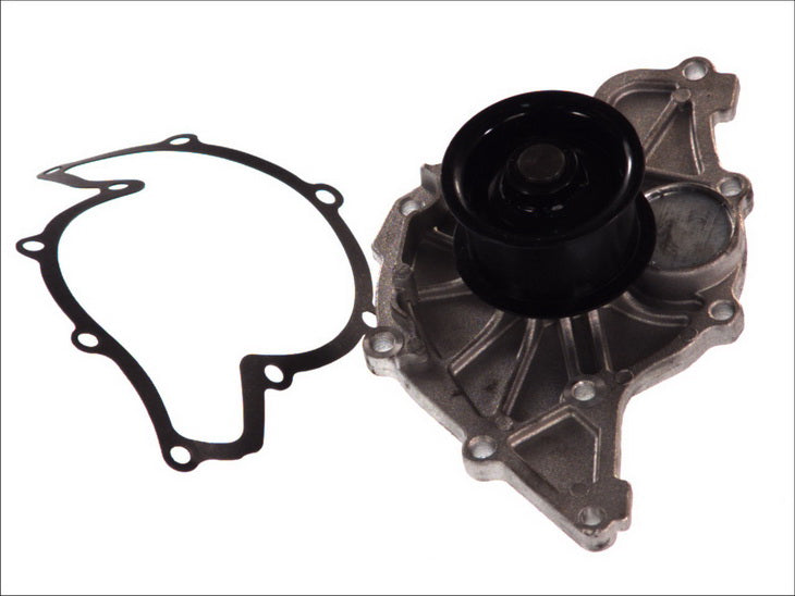 THERMOTEC D1W047TT Water Pump