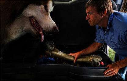 Husky Liners 09-12 Ford F-150 Super Cab Husky GearBox (w/o Factory Subwoofer)