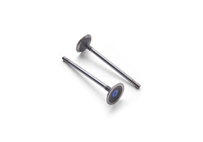 Ford Racing Coyote 5.2L Lightweight Exhaust Valve - Set of 8