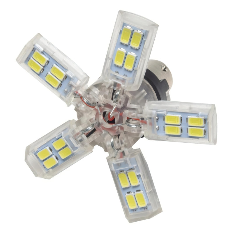 ORACLE Lighting Oracle 1156 15 SMD 3 Chip Spider Bulb (Single) - Cool White