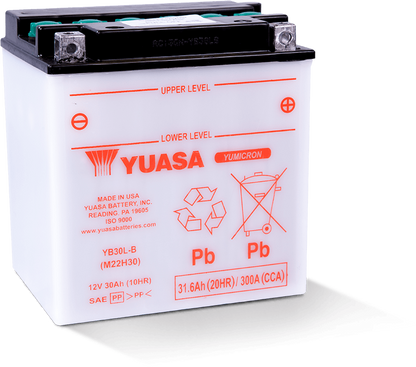 Yuasa Battery Yuasa YB30L-B Yumicron CX 12-Volt Battery