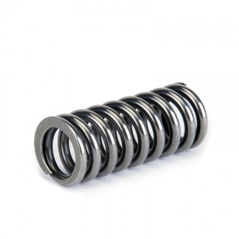 Skunk2 Racing Skunk2 Alpha Series Honda D Series VTEC Valve Spring Set