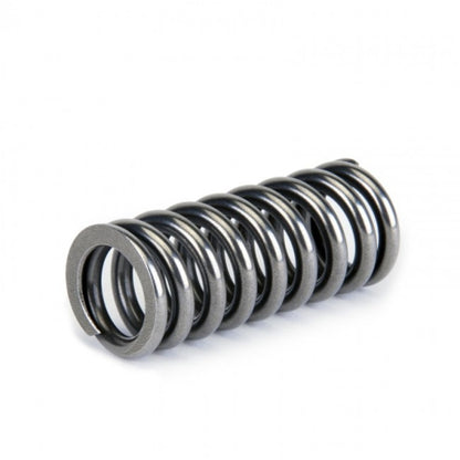 Skunk2 Racing Skunk2 Alpha Series Honda D Series VTEC Valve Spring Set