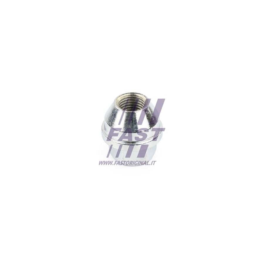 FAST FT21524 Wheel Nut