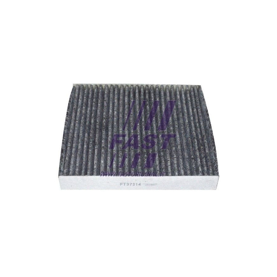 Fast FT37314 Pollen Filter