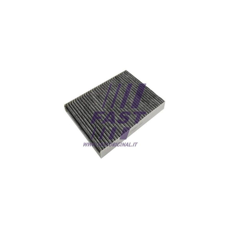 Fast FT37341 Pollen Filter