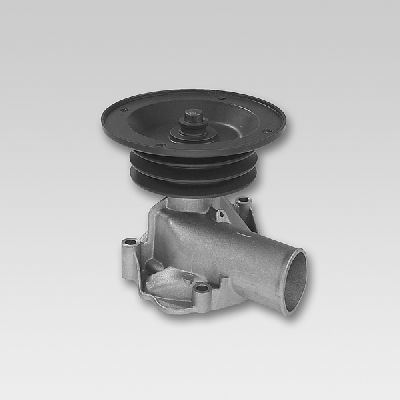HEPU P833 Water Pump