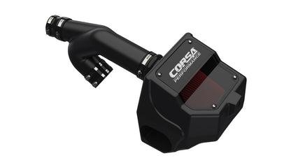 CORSA Performance Corsa 15-20 Ford F-150 2.7L Ecoboost / 2015-2016 3.5L EcoBoost Cold Air Intake with DryTech Filter