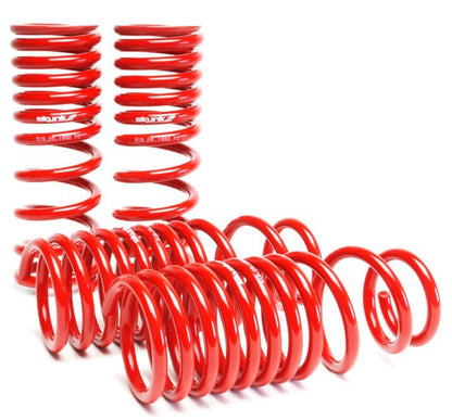 Skunk2 Racing Skunk2 88-91 Honda Civic/CRX Lowering Springs (2.50in - 2.25in.) (Set of 4)