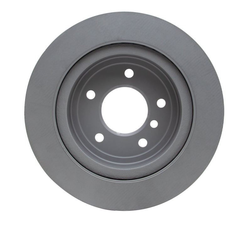 DFC 09-16 BMW Z4 Rear GeoSPEC Coated Rotor