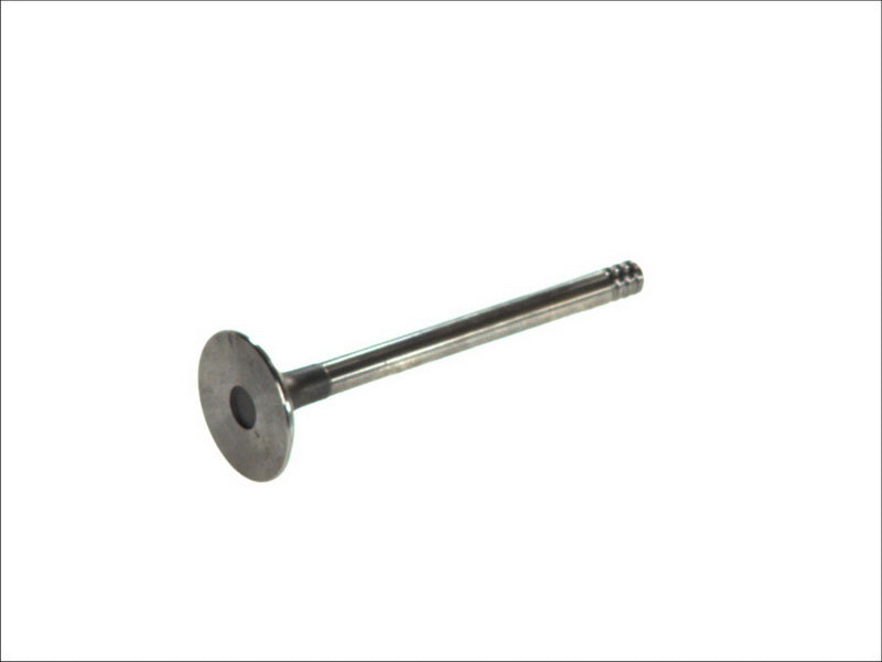 PARADOWSCY PAUD010 Intake Valve