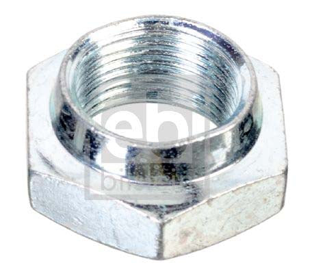 Febi Bilstein 02160 Nut, Stub Axle