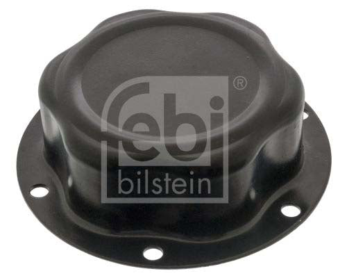 Febi Bilstein 02296 Cap, Wheel Bearing