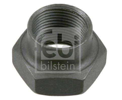 Febi Bilstein 03831 Nut, Stub Axle