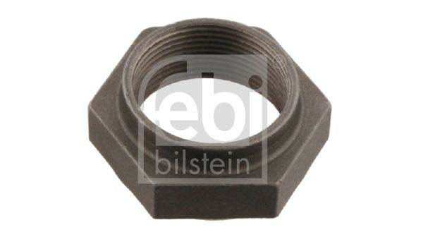 Febi Bilstein 10178 Nut, Stub Axle For Peugeot 405