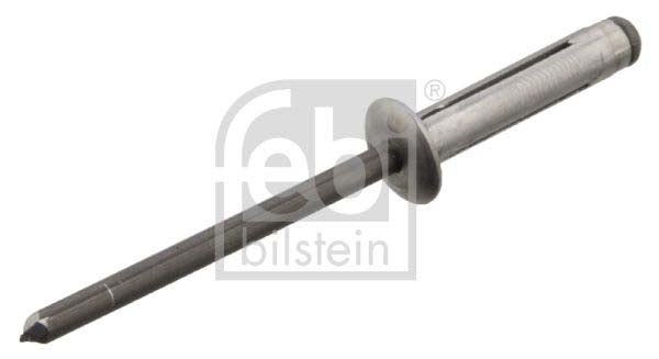Febi Bilstein 102732 Expanding Rivet