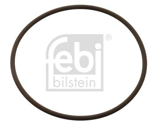 Febi Bilstein 104848 Seal Ring, Coolant Tube