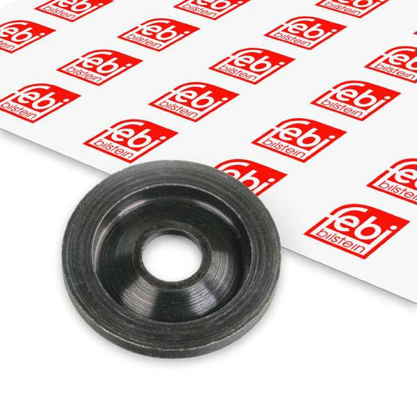 Febi Bilstein 15924 Heat Shield, Injection System
