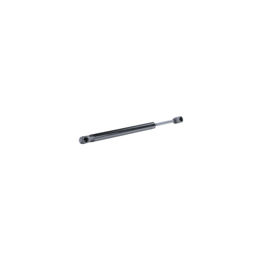 Febi Bilstein 17054 Tailgate Strut