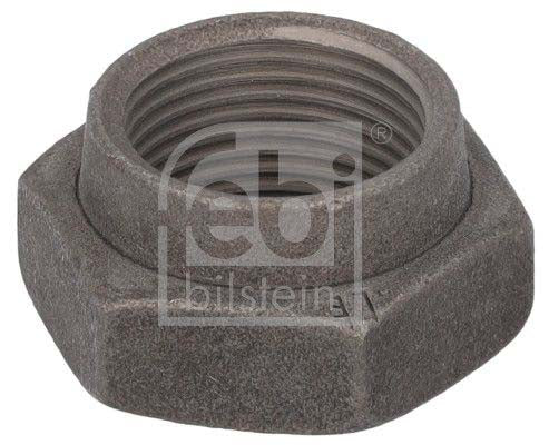 Febi Bilstein 19159 Nut, Stub Axle
