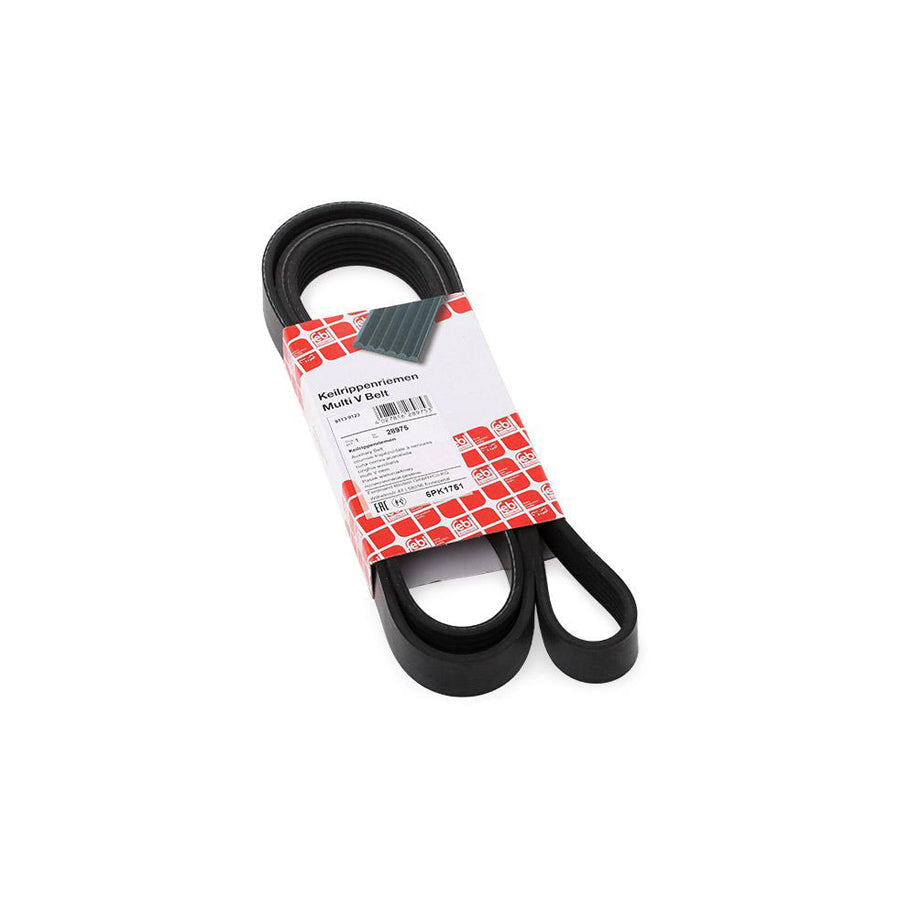 Febi Bilstein 28975 V-Ribbed Belt