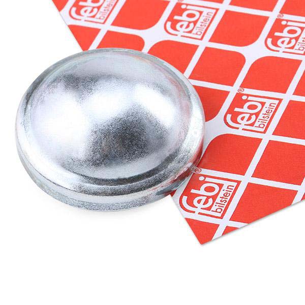 Febi Bilstein 29854 Cap, Wheel Bearing