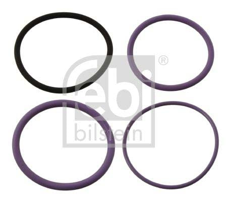 Febi Bilstein 35200 Seal Kit, Injector Nozzle