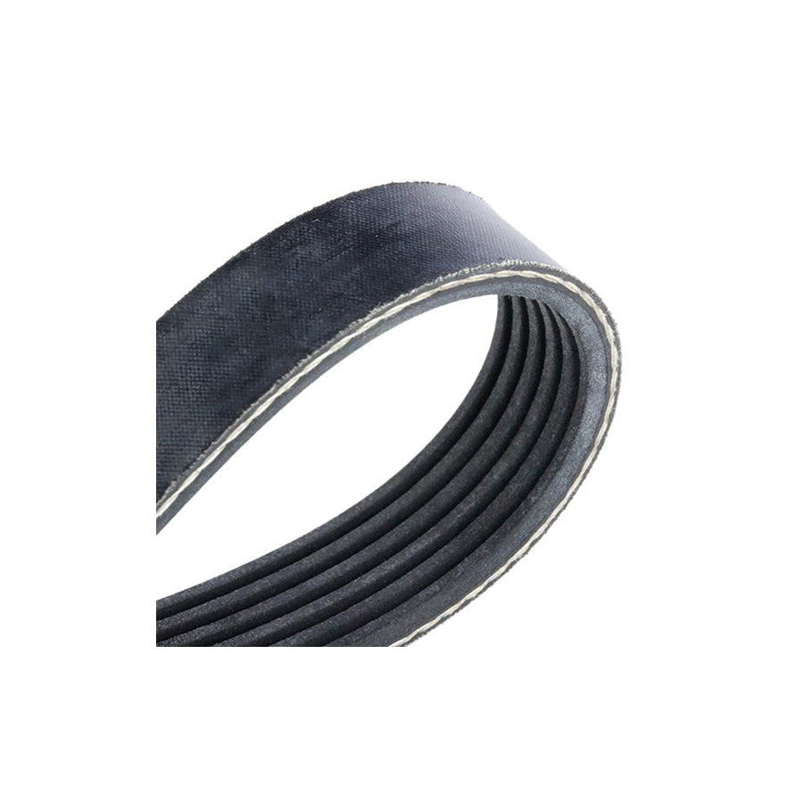 Febi Bilstein 38848 V-Ribbed Belt