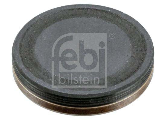 Febi Bilstein 38867 Locking Cover, Camshaft