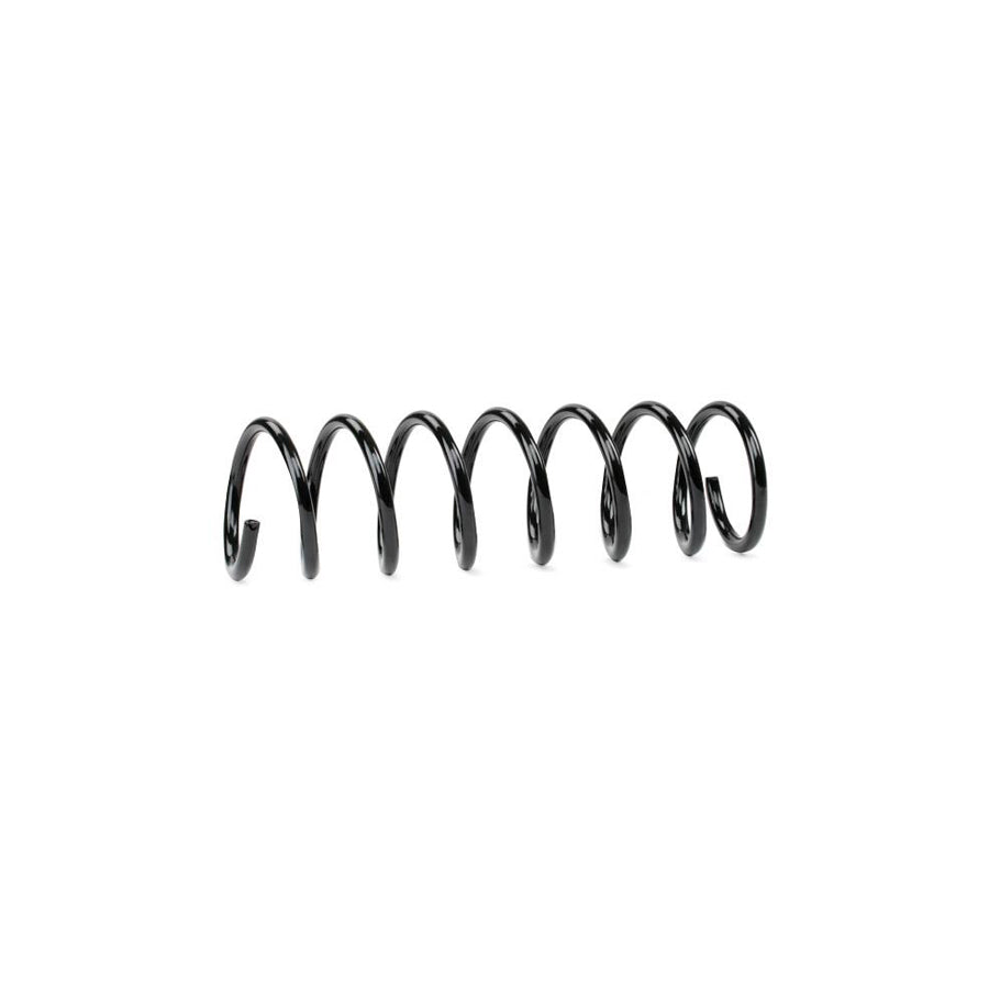 Febi Bilstein 39725 Coil Spring for Ford Focus