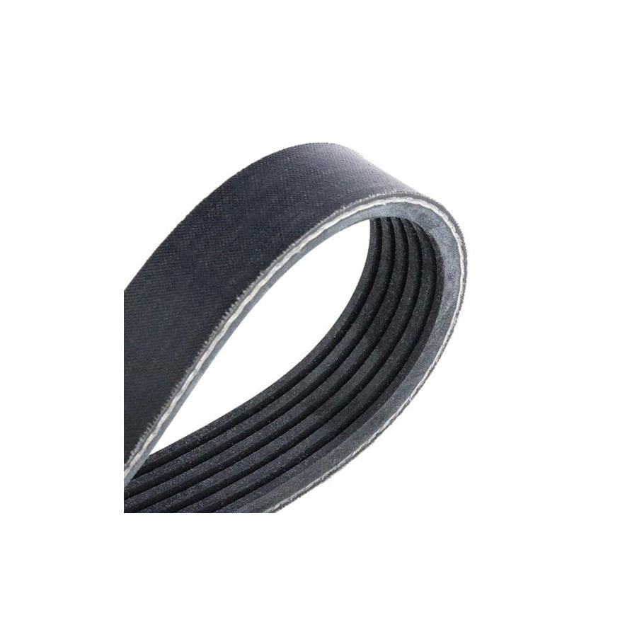 Febi Bilstein 44225 V-Ribbed Belt