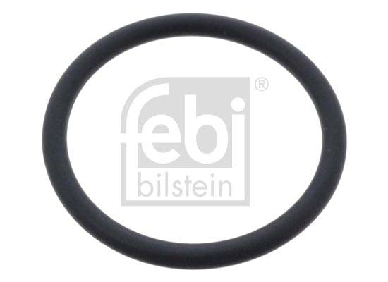 Febi Bilstein 46585 Seal Ring, Coolant Tube