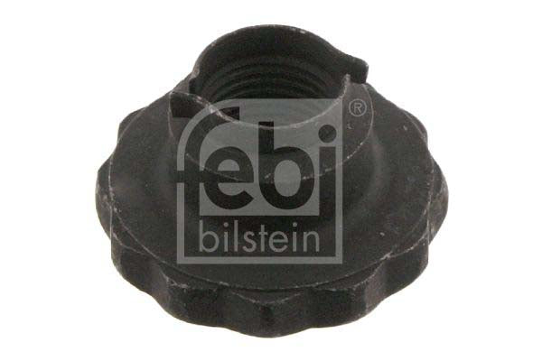 Febi Bilstein 46689 Nut, Stub Axle