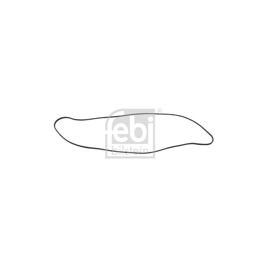 Febi Bilstein 47406 Rocker Cover Gasket